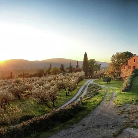 Ginestra * Lucignano