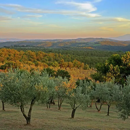 Vakantiehuis Ginestra *