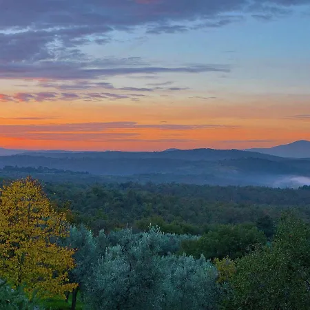 Ginestra * Lucignano